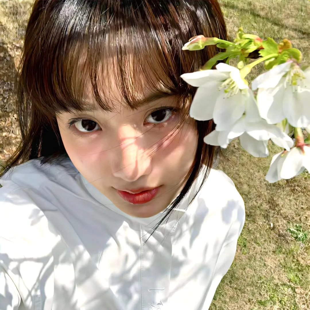 我的如意狼君粤语